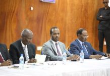 IMF oo Soomaaliya siinaysa $41M (Dhagayso)