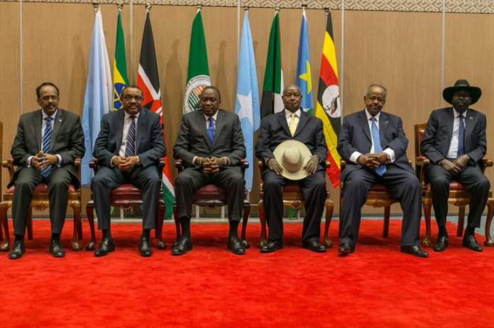 Farmaajo 12